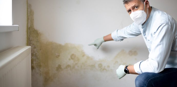 4 Health Risks of Mold Exposure